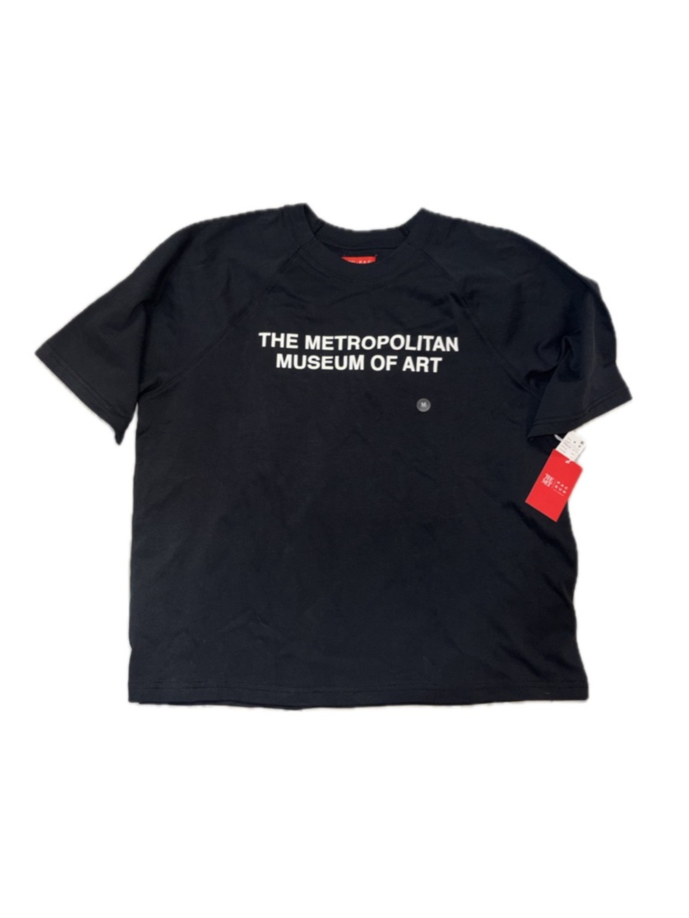 THE METROPOLITAN MUSEUM OF ART THE METxPacSun Men’s Medium Tee Shirt Black